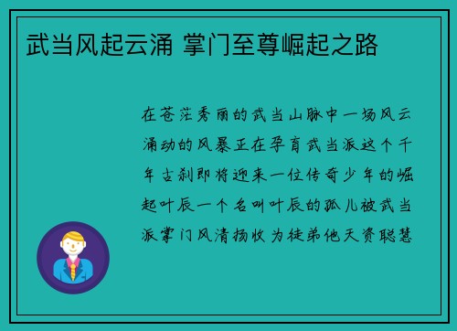 武当风起云涌 掌门至尊崛起之路